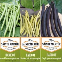 Collection De 3 Haricots Colorés Et Productifs BIO - Ferme De Sainte-Marthe